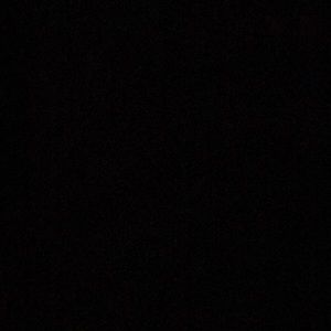 Meet your Posher, Yoselinne